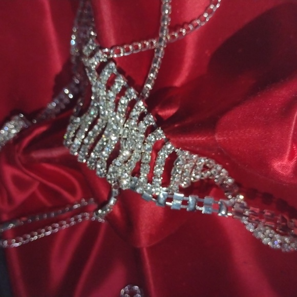 Hundreds of Swarovski Crystals Scintillate on this Bikini Bathing Adornment NWT - Picture 11 of 12